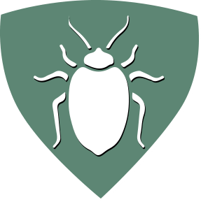 termite